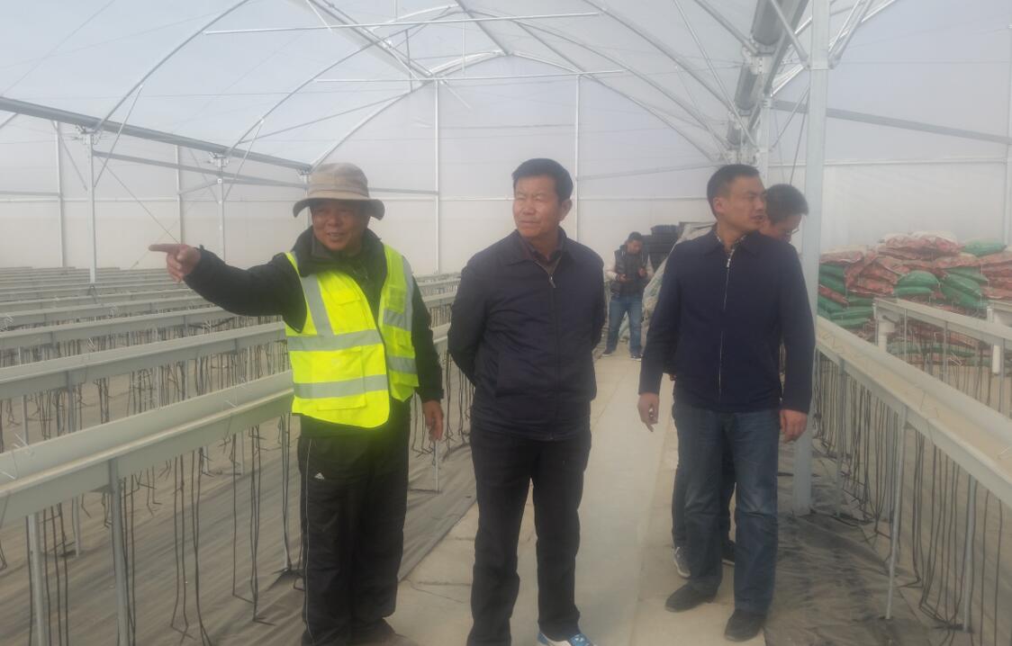 xc sports(中国区)-官方网站
