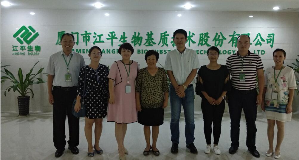 xc sports(中国区)-官方网站
