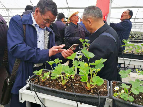 5b0fc90925950