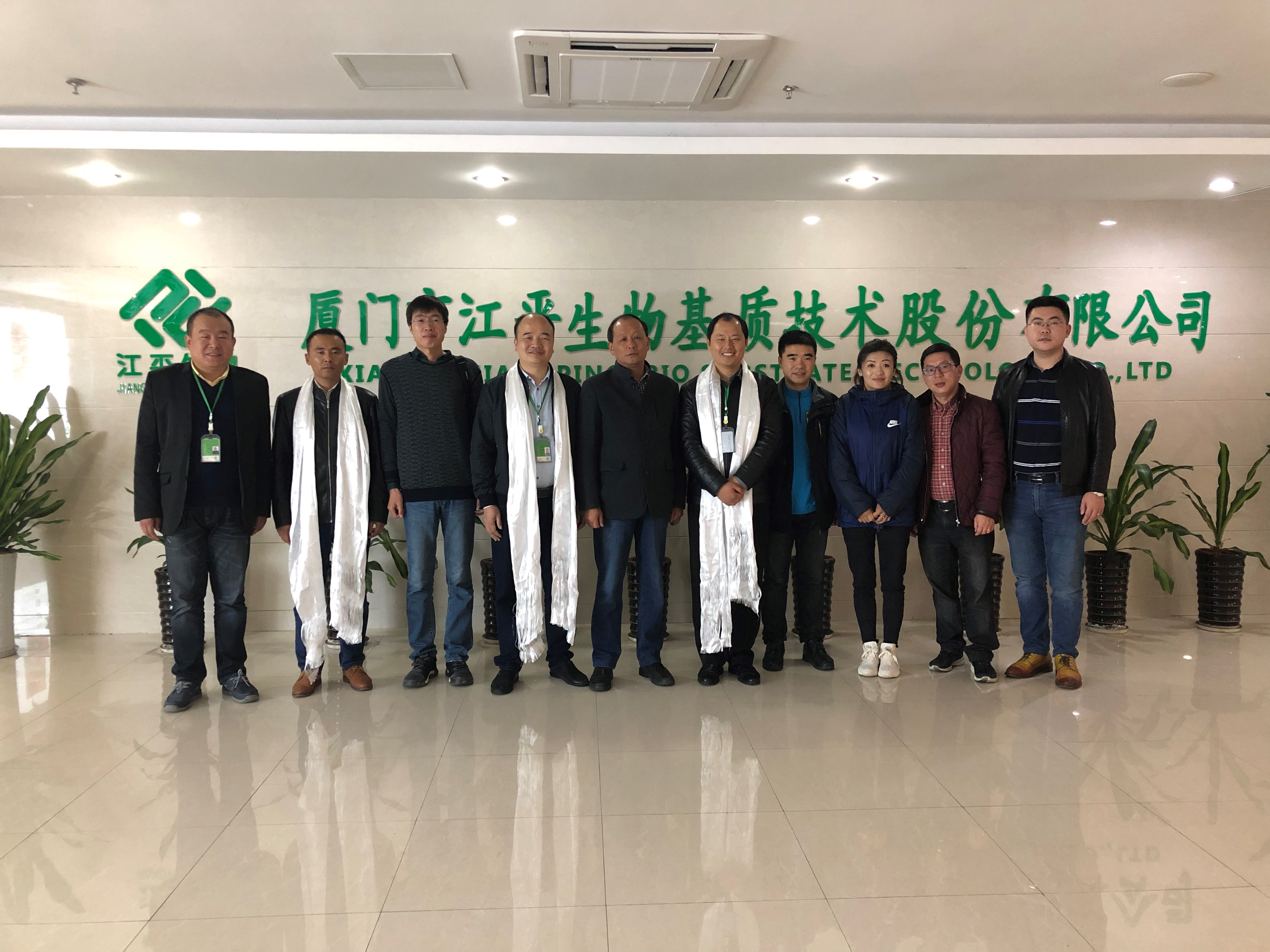xc sports(中国区)-官方网站
