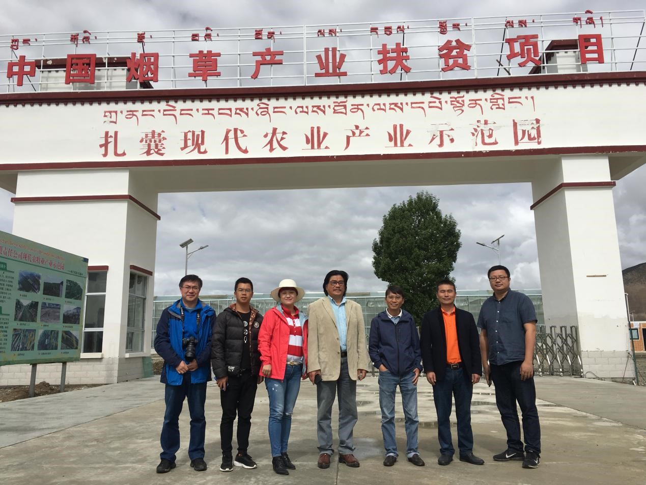 xc sports(中国区)-官方网站