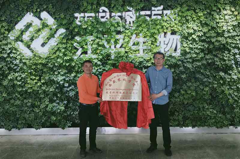 xc sports(中国区)-官方网站