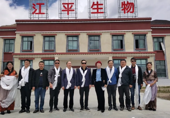 xc sports(中国区)-官方网站