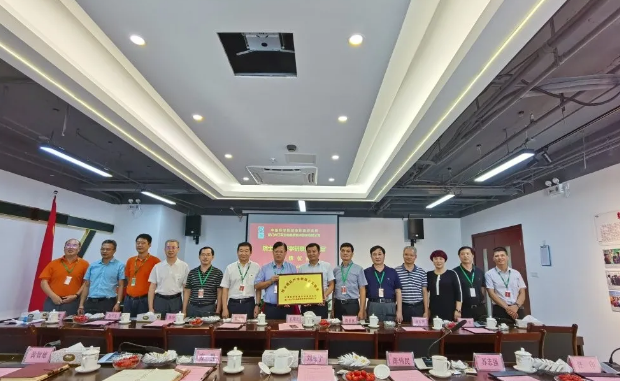 xc sports(中国区)-官方网站