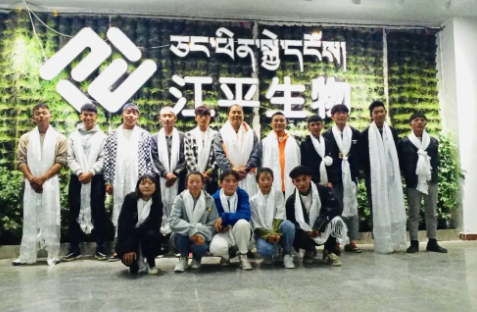 xc sports(中国区)-官方网站