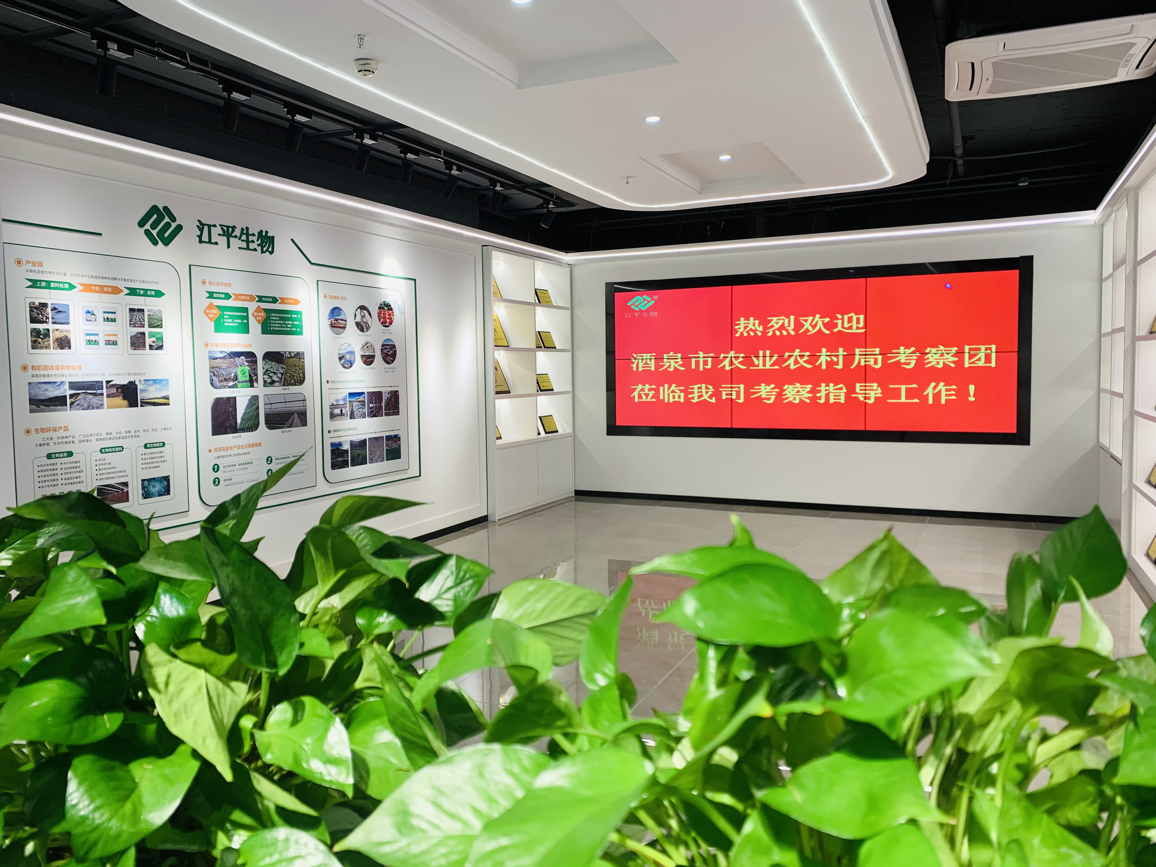 xc sports(中国区)-官方网站