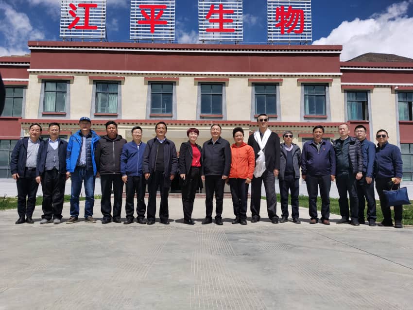 xc sports(中国区)-官方网站