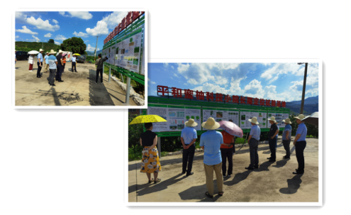 xc sports(中国区)-官方网站
