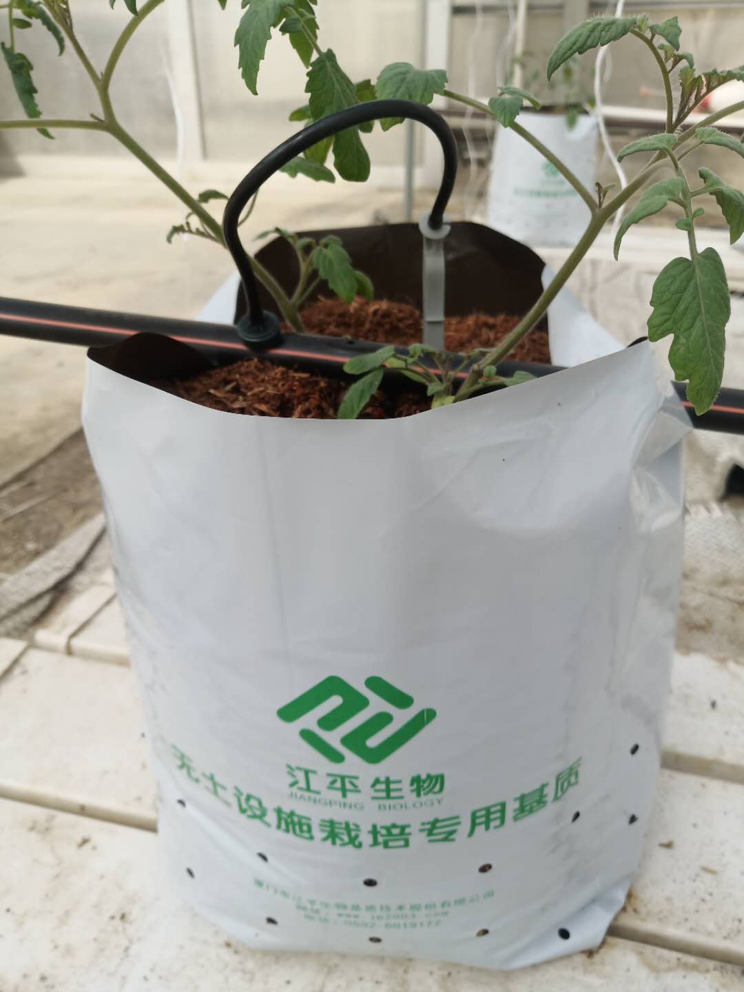 xc sports(中国区)-官方网站