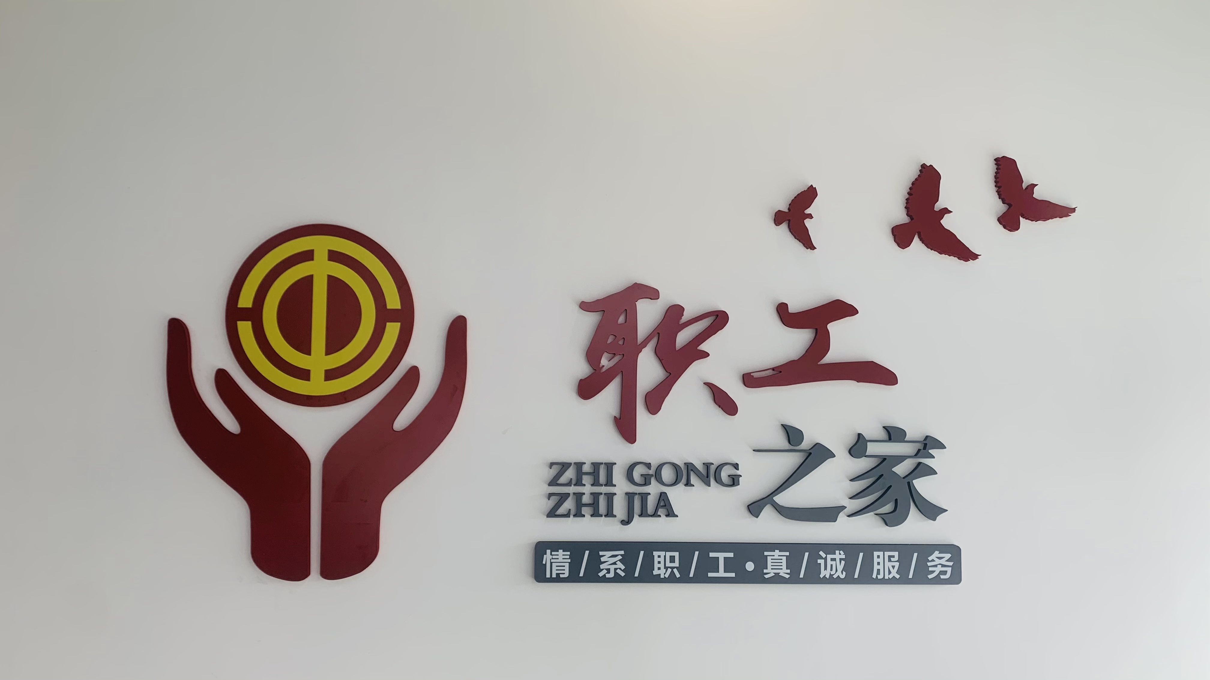xc sports(中国区)-官方网站