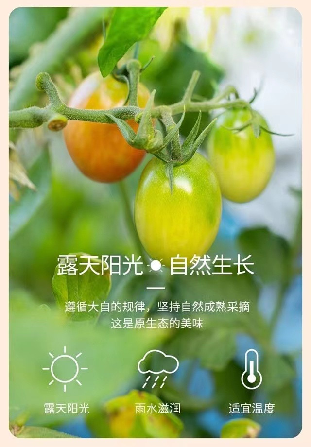 xc sports(中国区)-官方网站