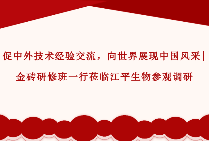 6538b7c572d16.png